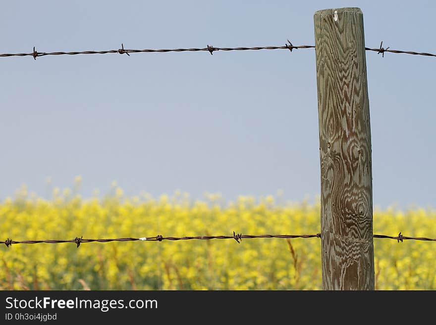 Fenced