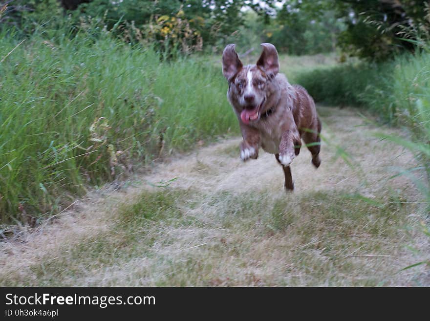 Flying Faster Than The Speed of Shutter