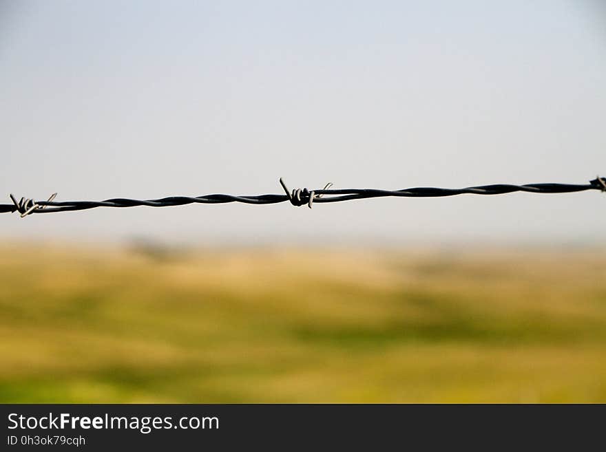 Fence and Fields