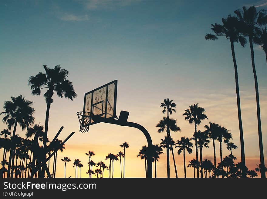 Silhouette of Basketball Hoop during Dusk