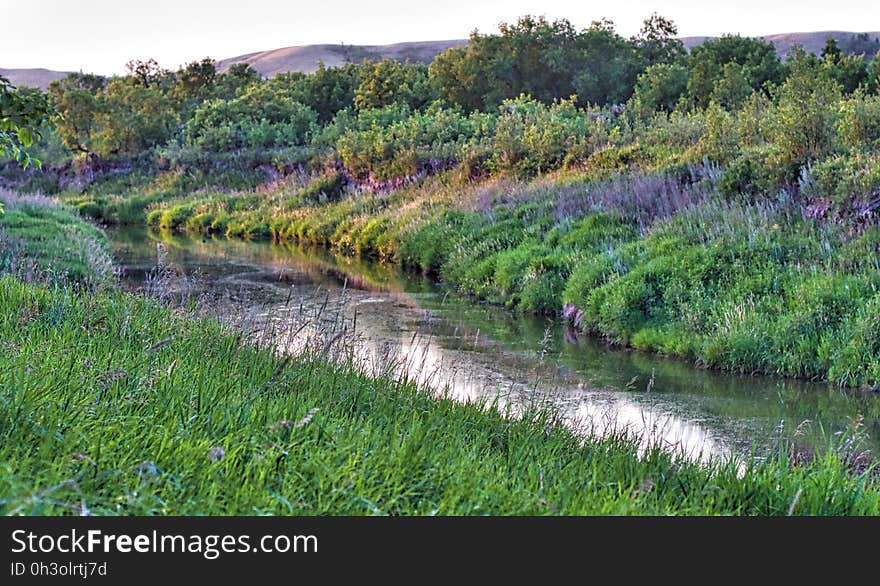 River Colors