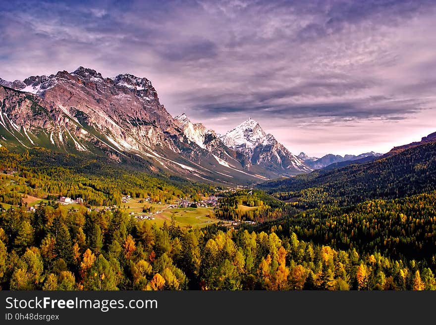 Mountains and Trees Photo