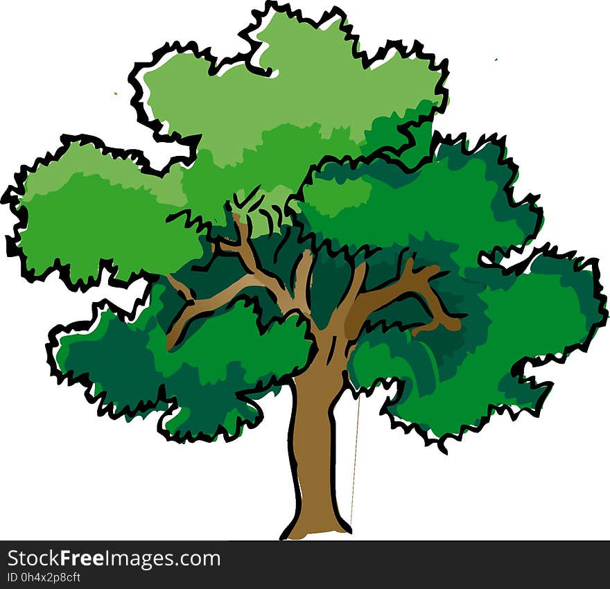 Tree, Woody Plant, Green, Plant