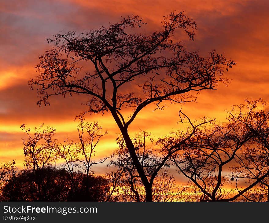 Sky, Red Sky At Morning, Afterglow, Ecosystem