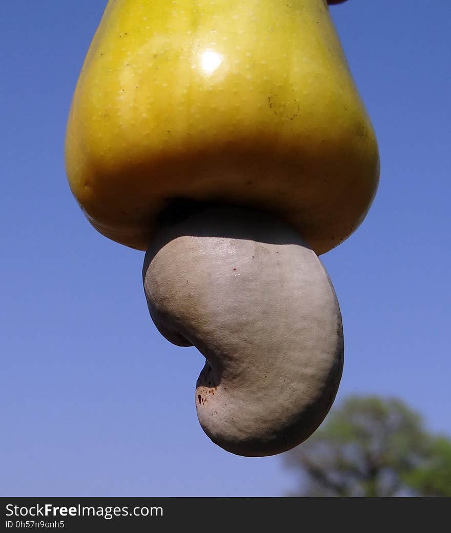 Sky, Produce, Close Up, Fruit