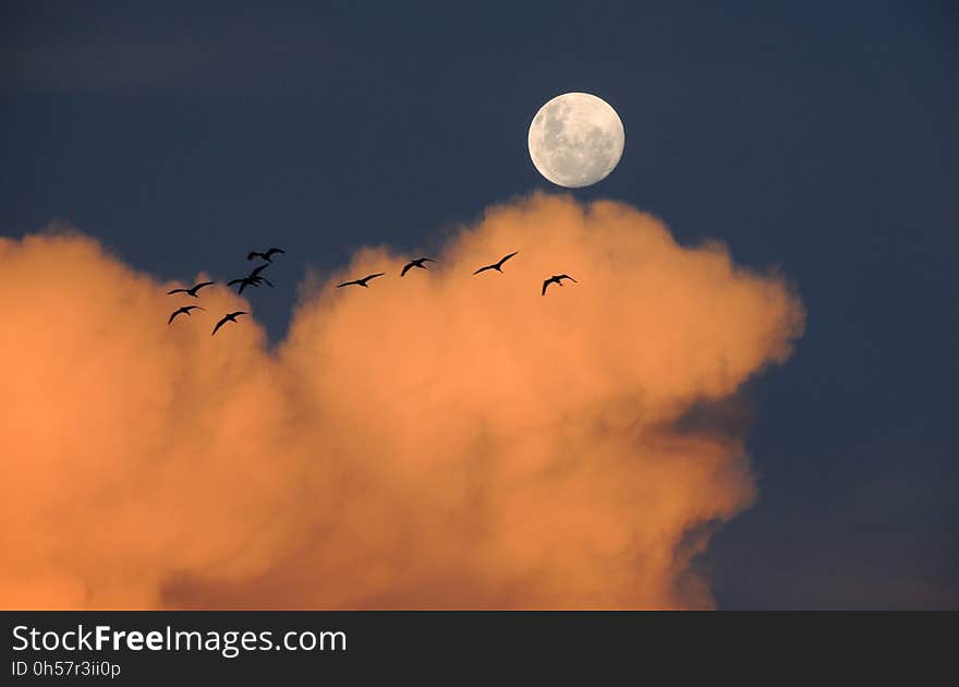 Sky, Daytime, Atmosphere, Cloud