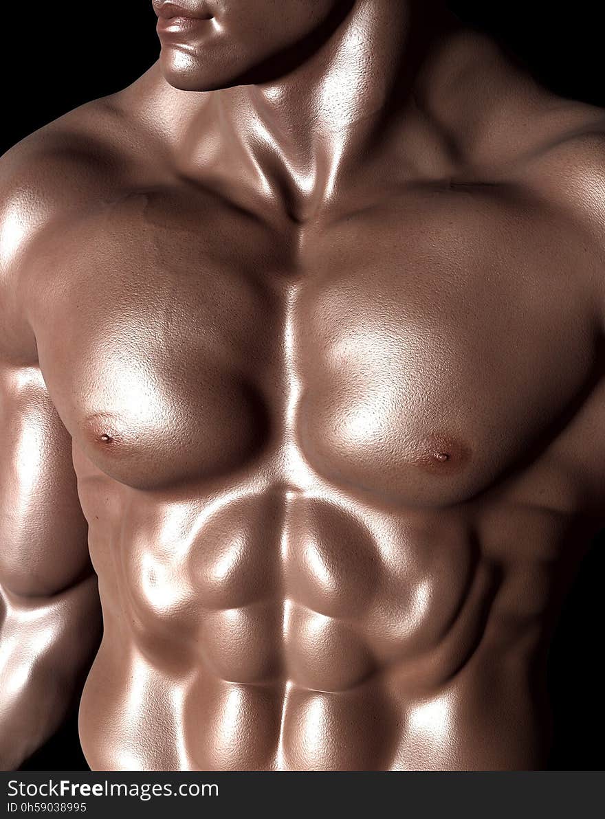 Body Man, Muscle, Abdomen, Bodybuilder