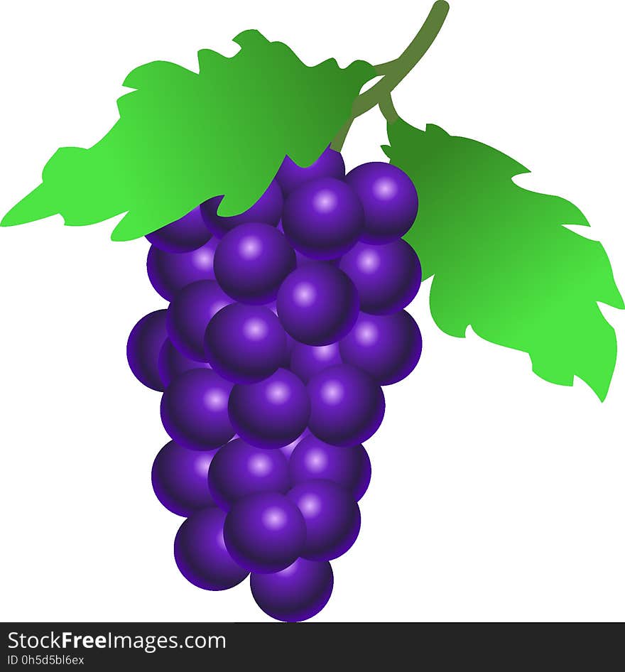 Grape, Produce, Fruit, Food