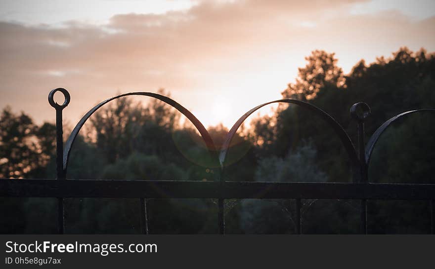 Sunset behind the trees