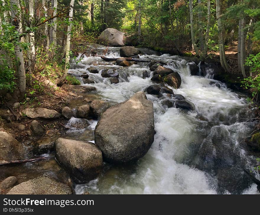 Stream, Body Of Water, Water, Water Resources