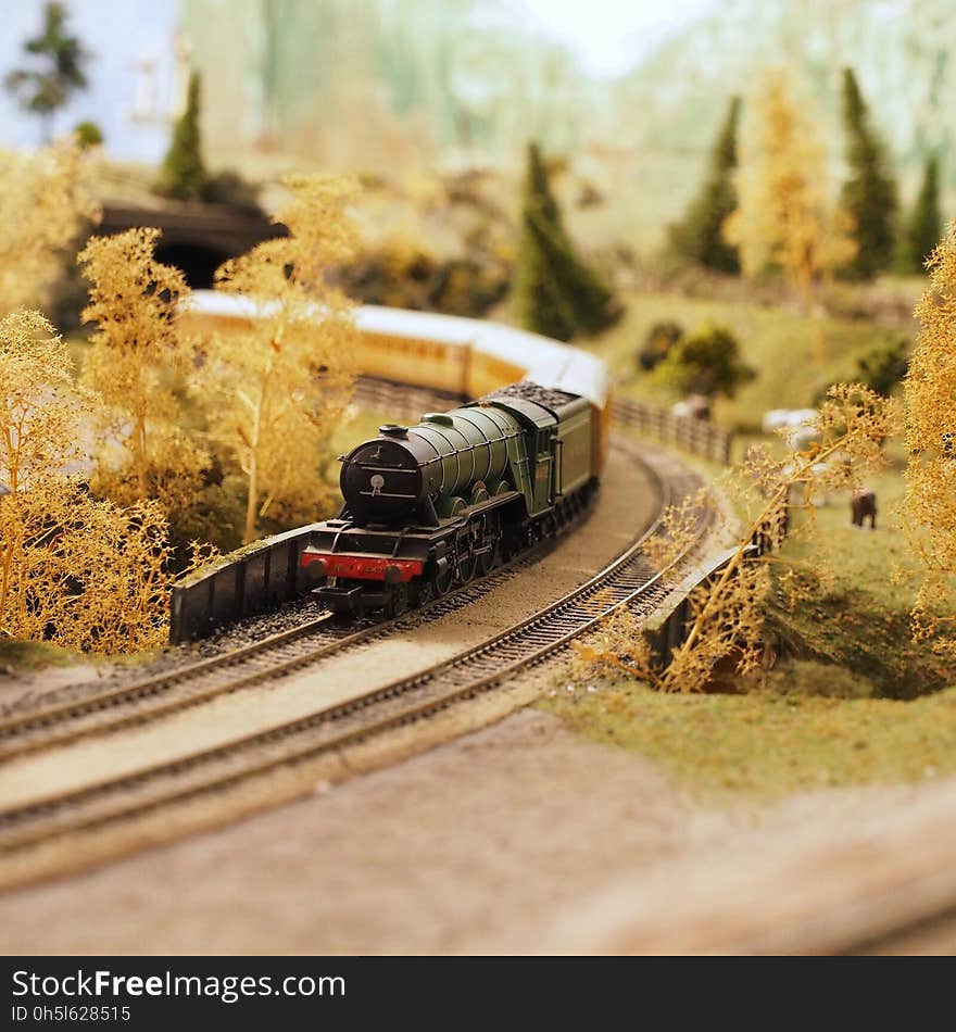 Black and Red Miniature Train Surrounded by Artificial Trees and Grass