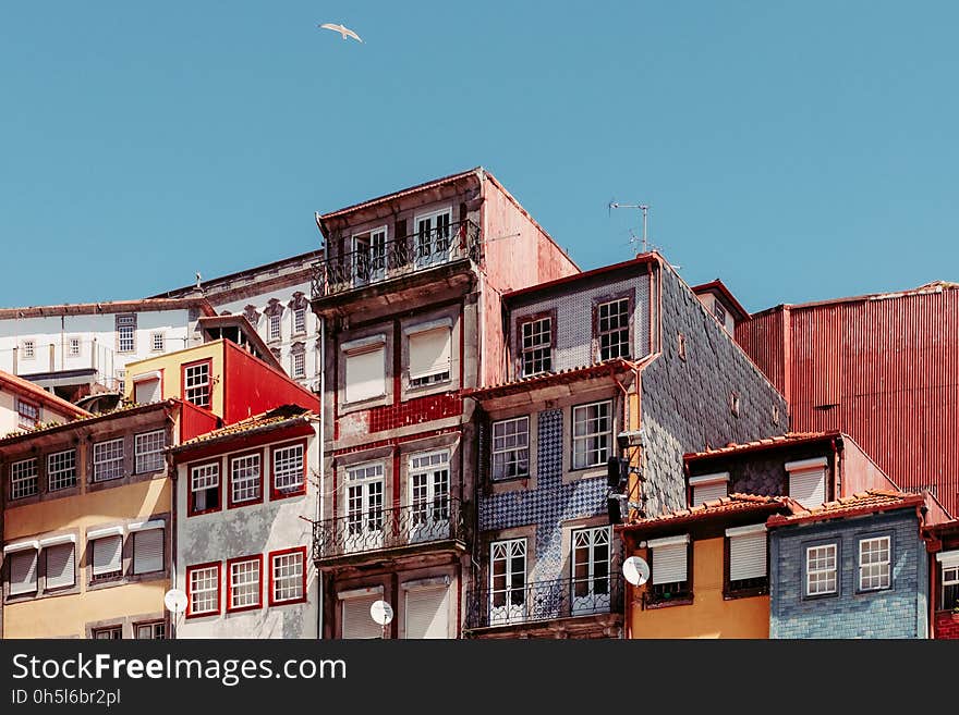 Brown White and Black Concrete Buildings