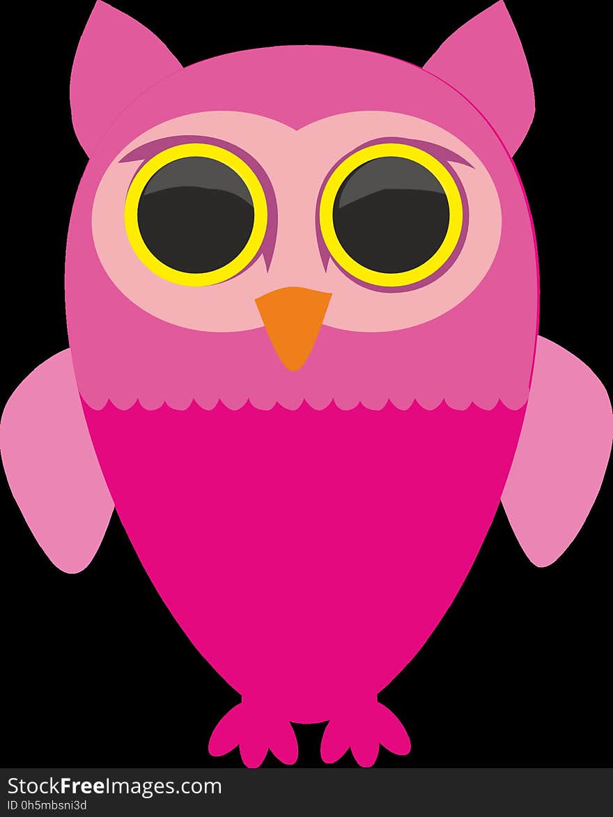 Owl, Pink, Bird, Bird Of Prey