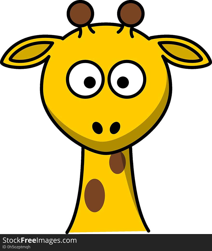 Yellow, Giraffe, Giraffidae, Head