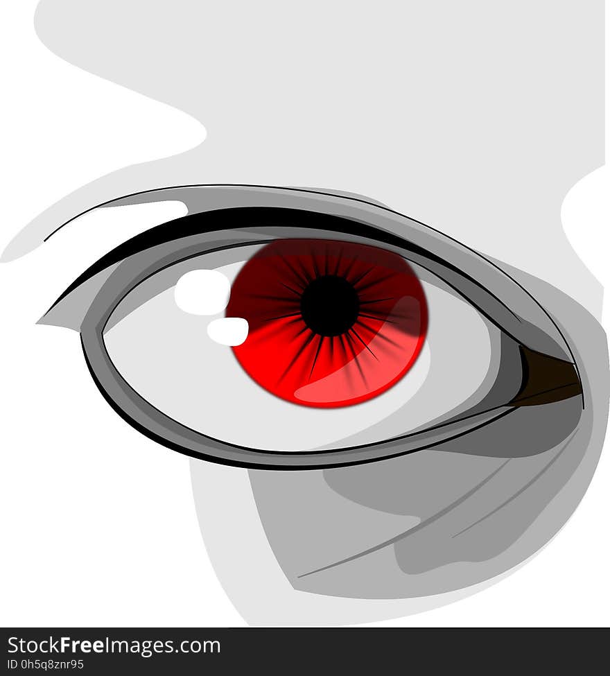 Red, Eye, Flower, Eyelash