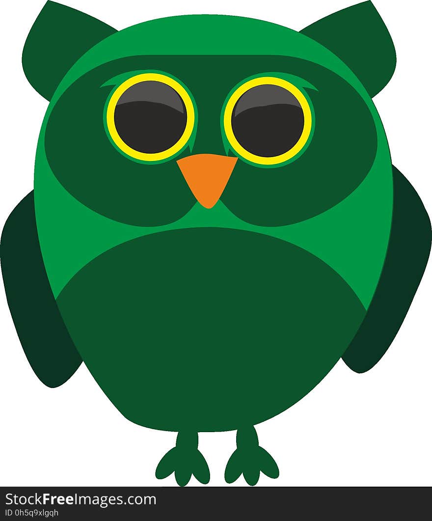 Owl, Green, Beak, Bird