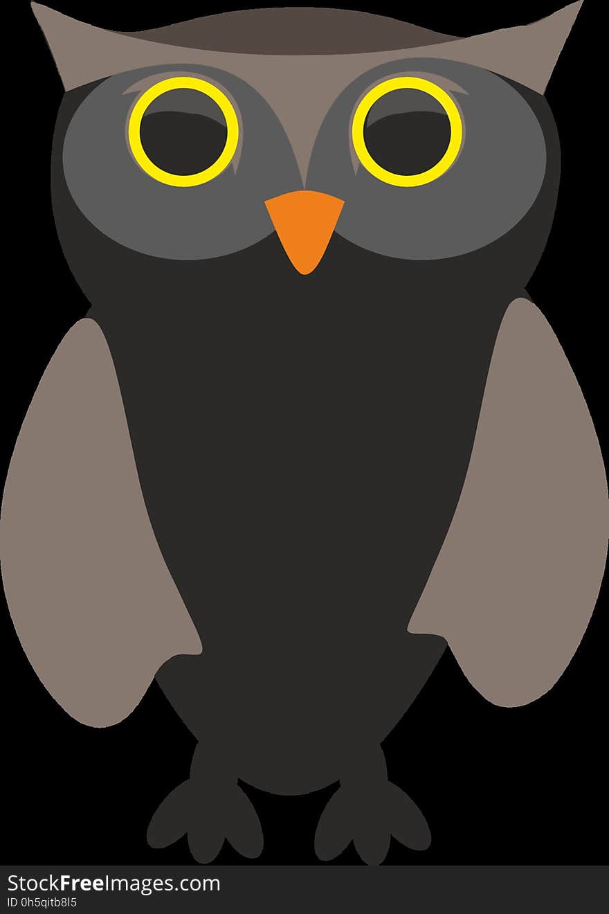 Owl, Bird, Beak, Bird Of Prey