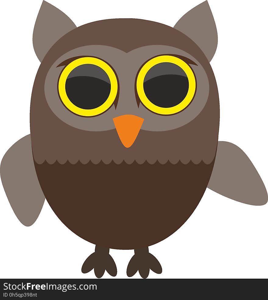 Owl, Bird, Beak, Bird Of Prey