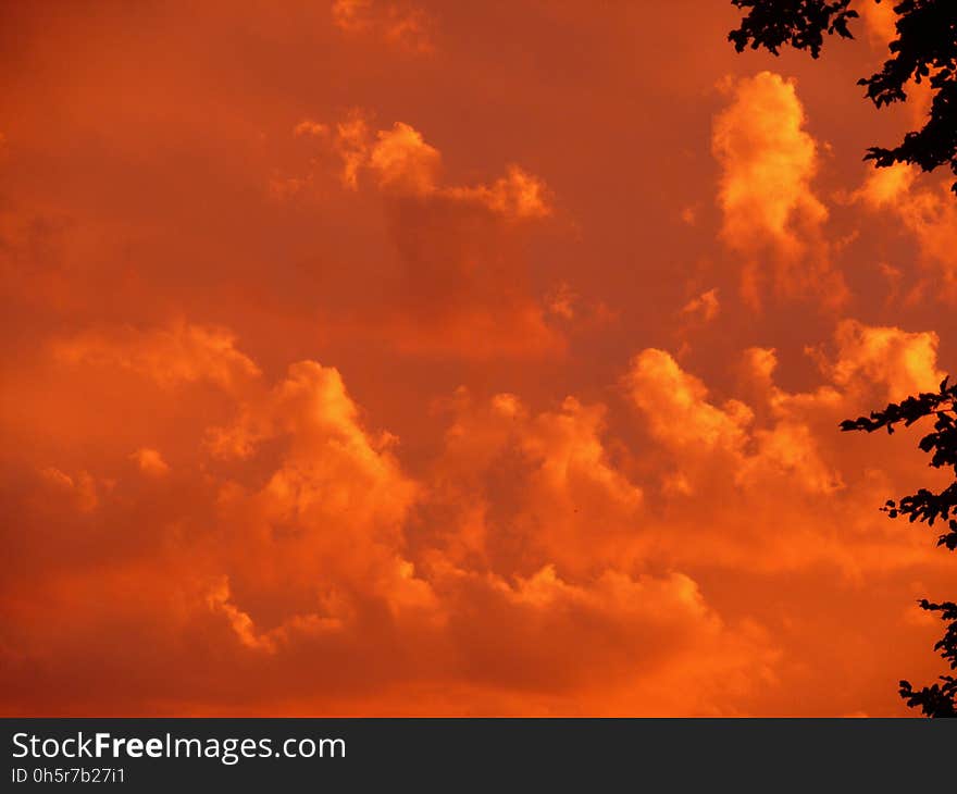 Sky, Afterglow, Red Sky At Morning, Cloud