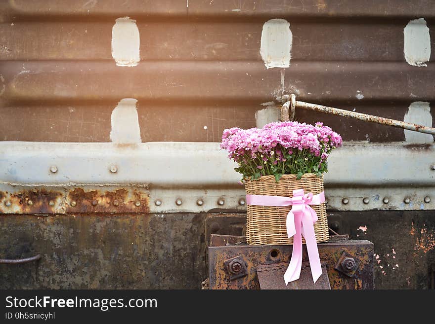 Lovely pink chrysanthemum flowers in the bamboo basket on the rusted steel background for love.