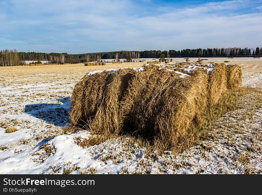 Winter hay field in December