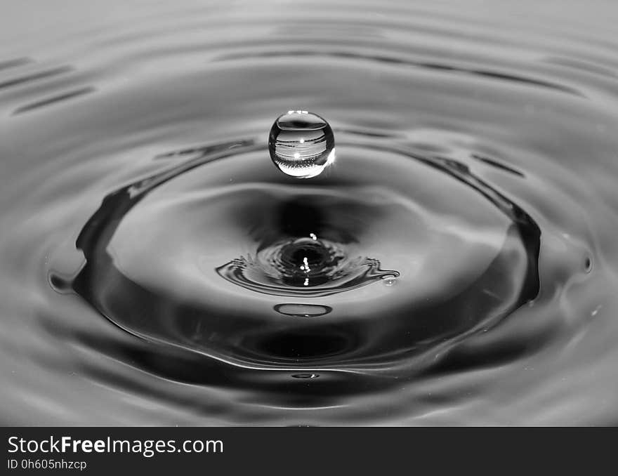 Water, Drop, Black And White, Monochrome Photography