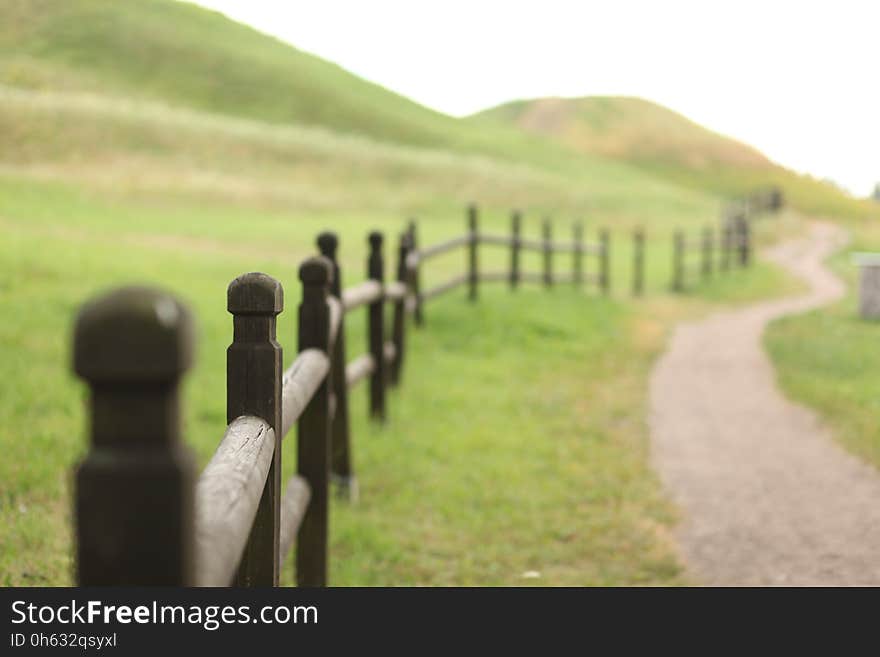 Grassland, Grass, Pasture, Field