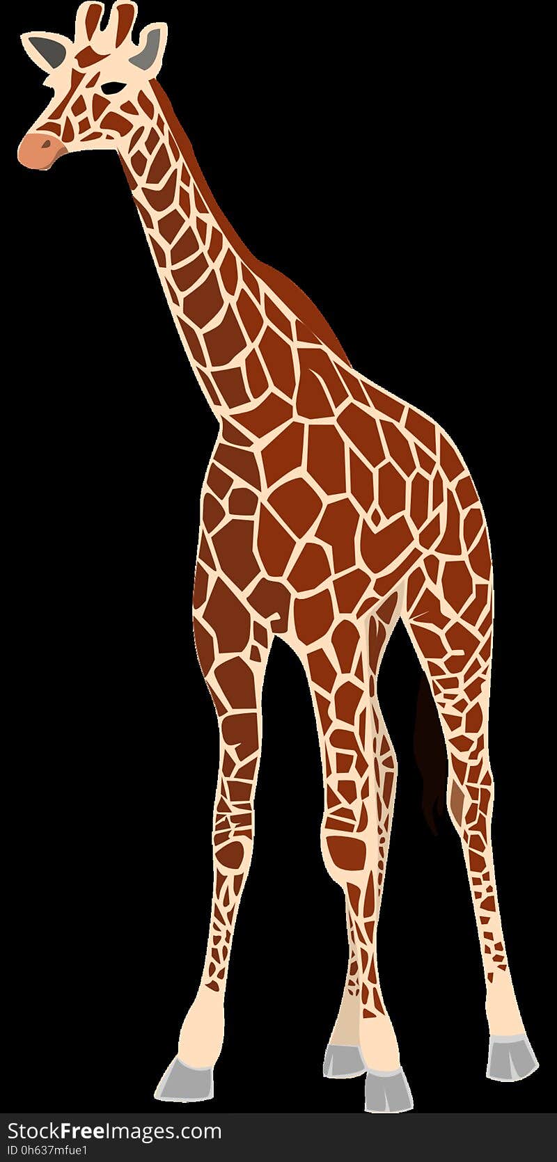 Giraffe, Giraffidae, Terrestrial Animal, Mammal