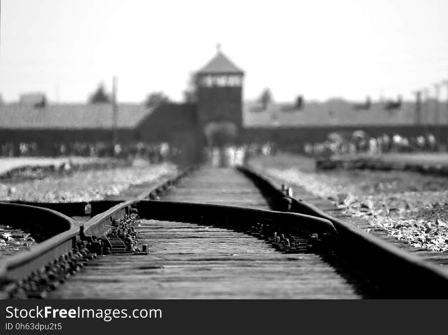 Black And White, Water, Monochrome Photography, Track