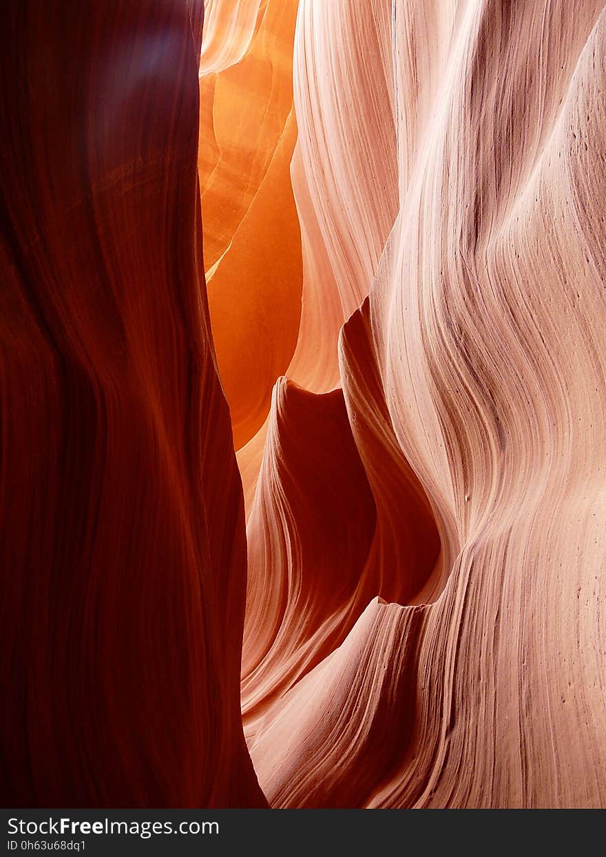 Orange, Close Up, Girl, Long Hair