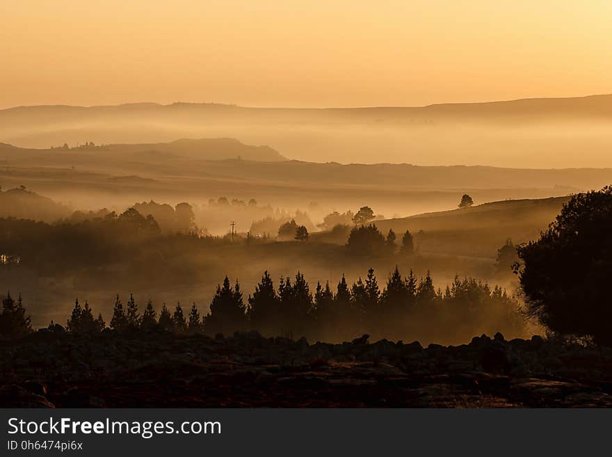 Sky, Dawn, Mist, Atmosphere