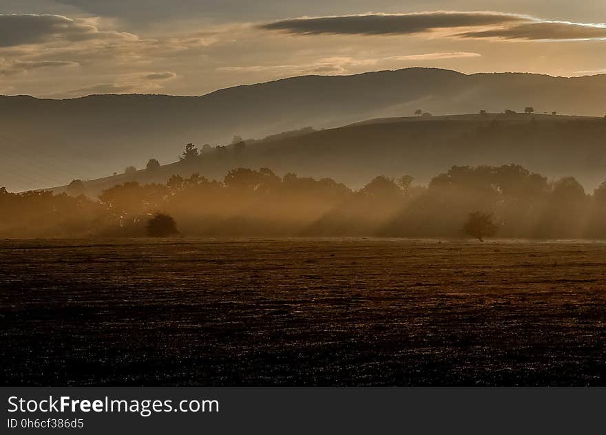 Sky, Mist, Dawn, Atmosphere