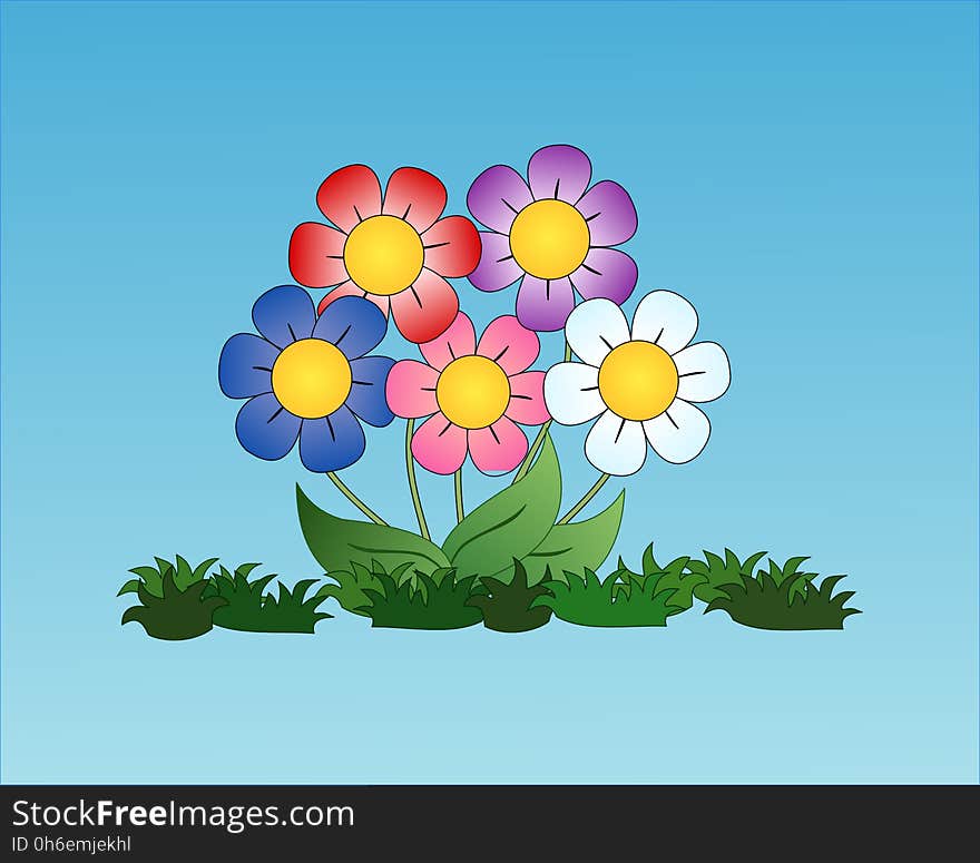 Flower, Flowering Plant, Plant, Flora