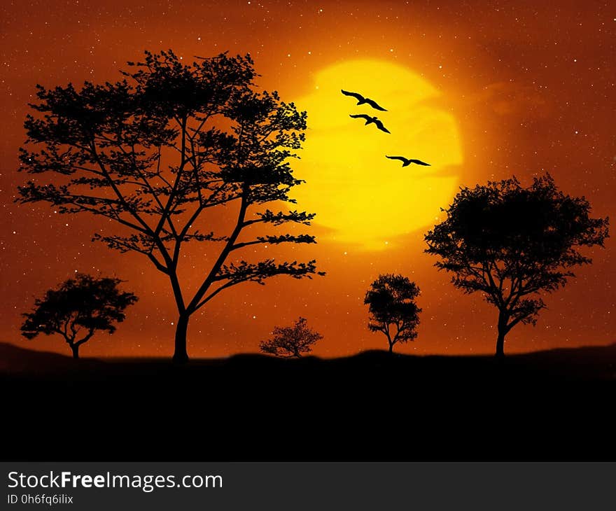 Sky, Nature, Savanna, Sunrise