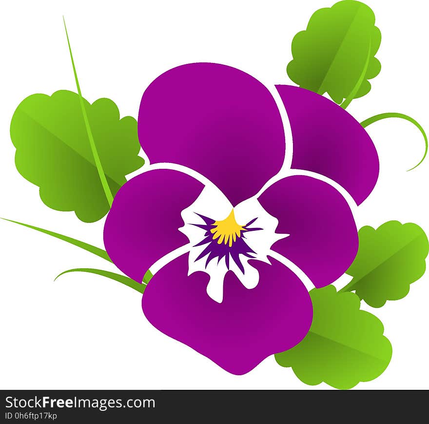 Flower, Flowering Plant, Plant, Violet