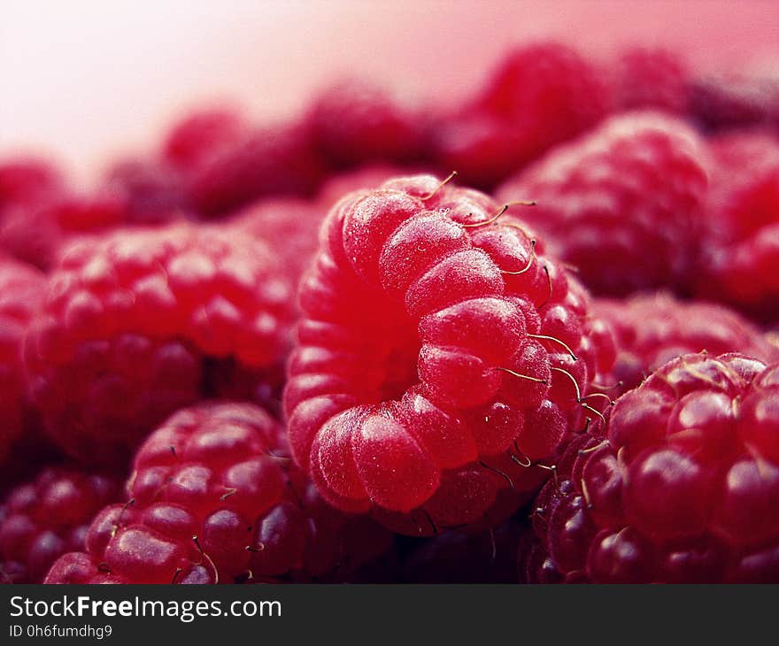 Natural Foods, Berry, Raspberry, Fruit