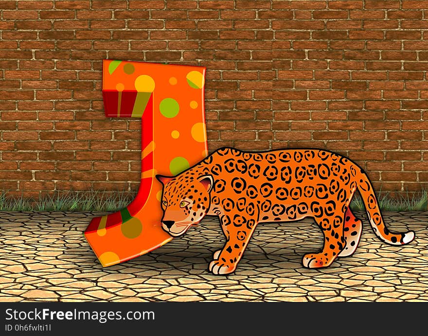 Mammal, Fauna, Orange, Carnivoran