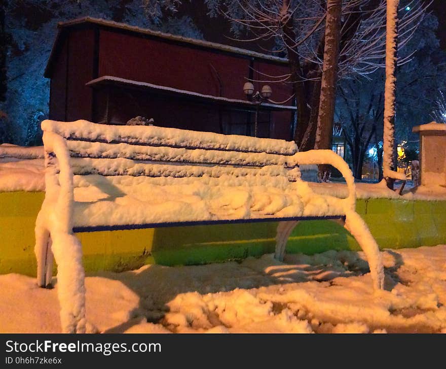 Outdoor bench, Snow, Plant, Wood, Branch, Tree