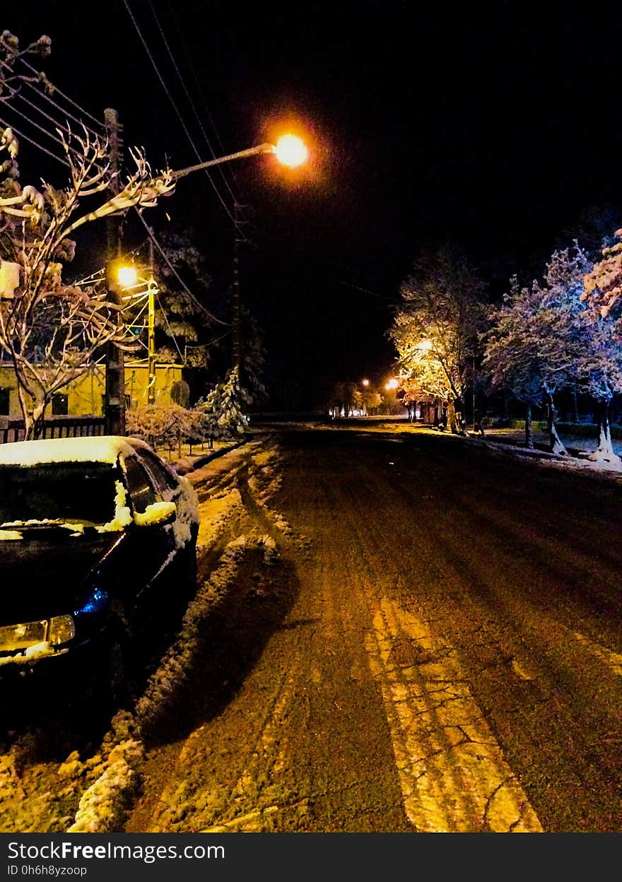 Plant, Automotive lighting, Street light, Car, Light, Infrastructure