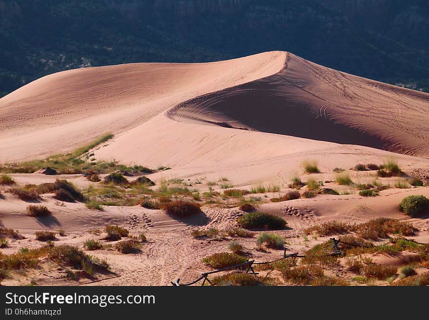 Desert at Daytime