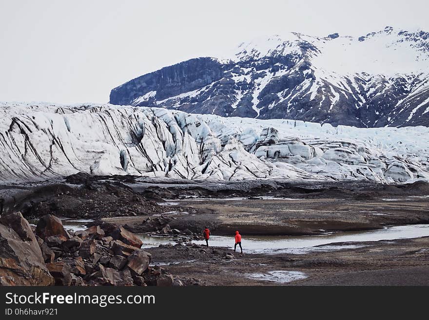 Person in Red Hoodie Standing on Gray Soil Near Bed of Water