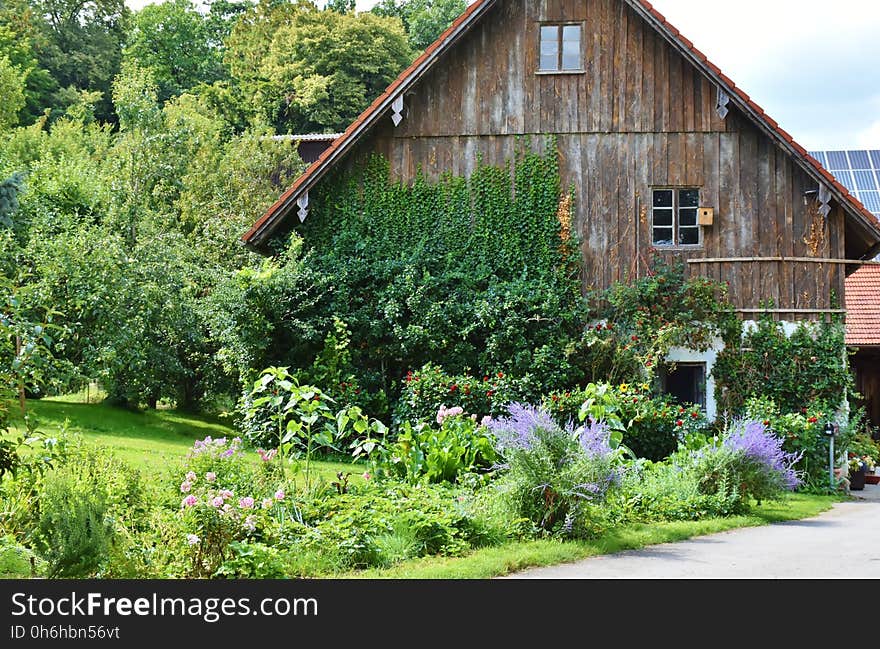 Brown Wooden House Beside Green Trees during Daytime