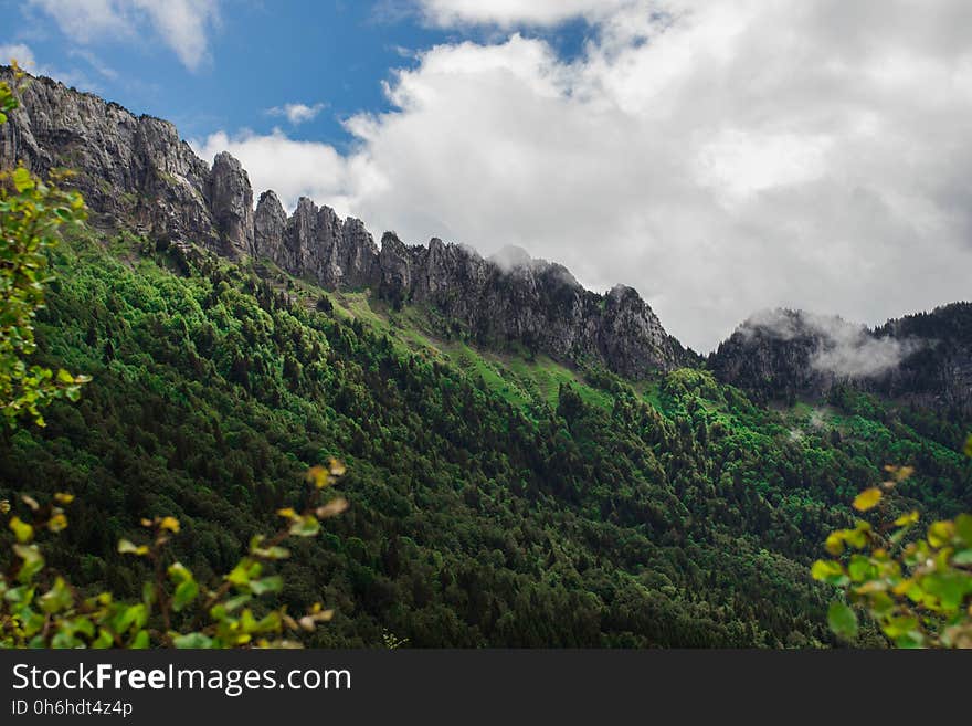 Green Trees and Mountains Under White and Blue Clouds