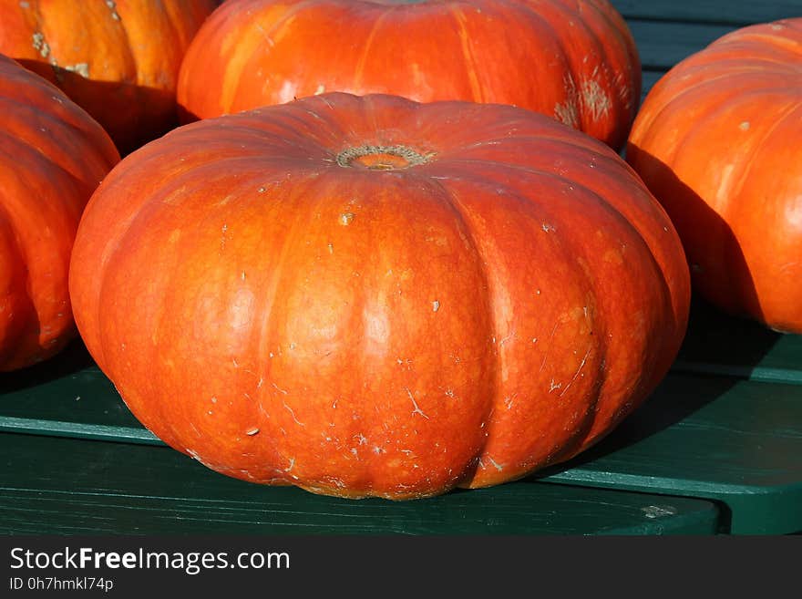 Winter Squash, Calabaza, Cucurbita, Vegetable