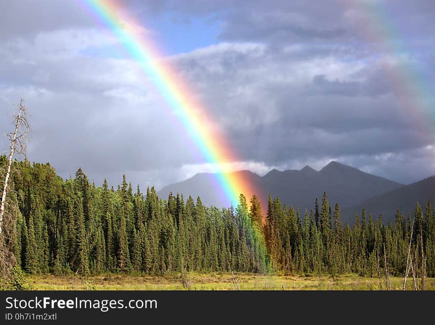 Rainbow, Sky, Wilderness, Meteorological Phenomenon