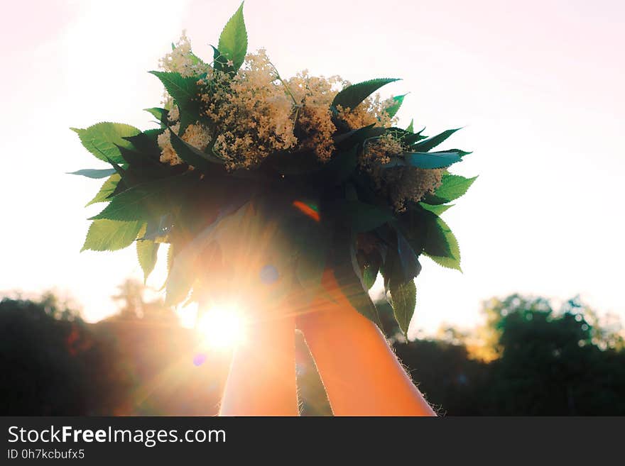 Romantic bunch of white field flowers in the girl hands.