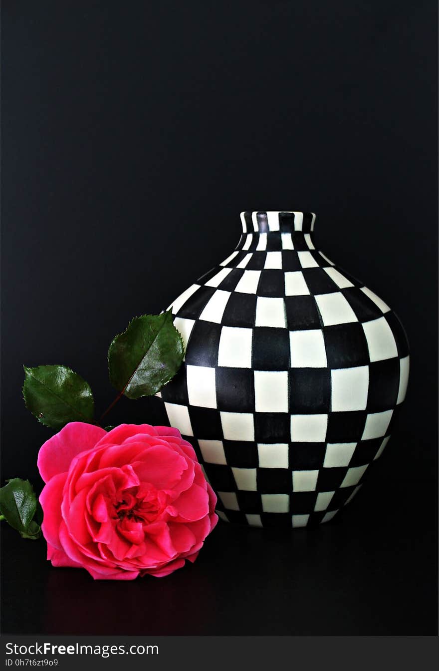 Vase, Still Life Photography, Artifact, Still Life