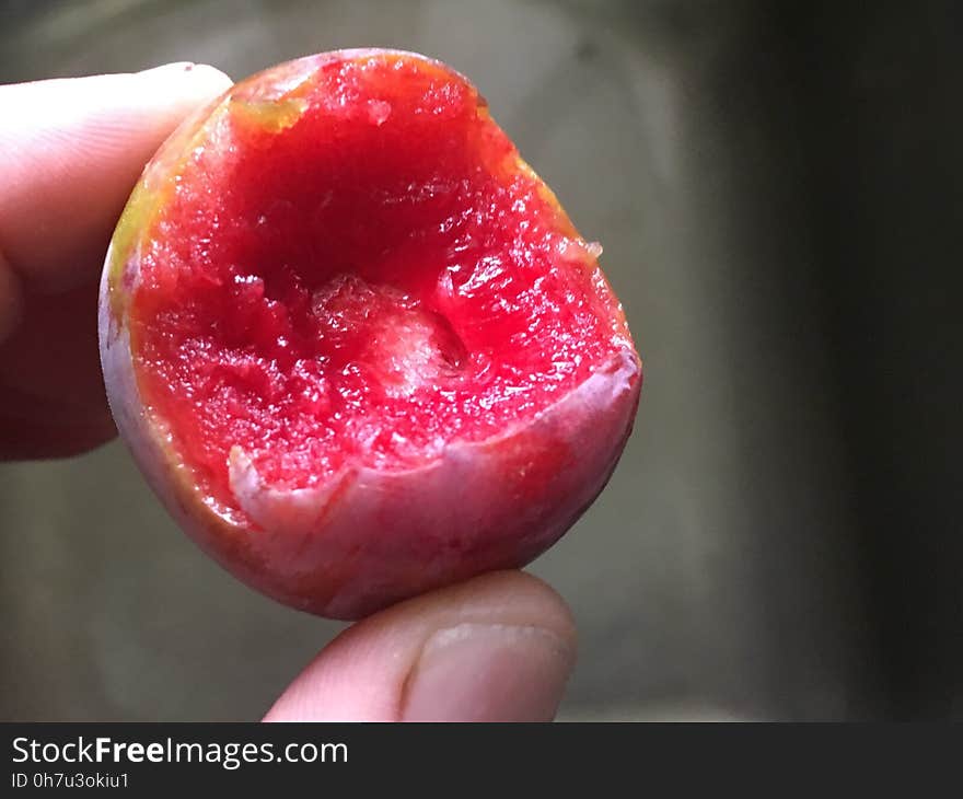 A refreshing bite into one of my home grown plums. A refreshing bite into one of my home grown plums.