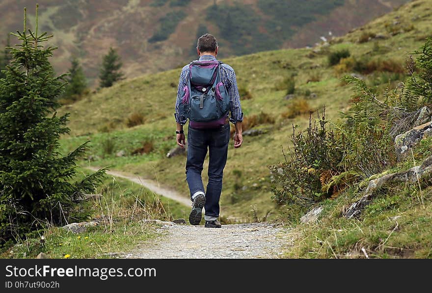 Path, Wilderness, Mountainous Landforms, Outdoor Recreation