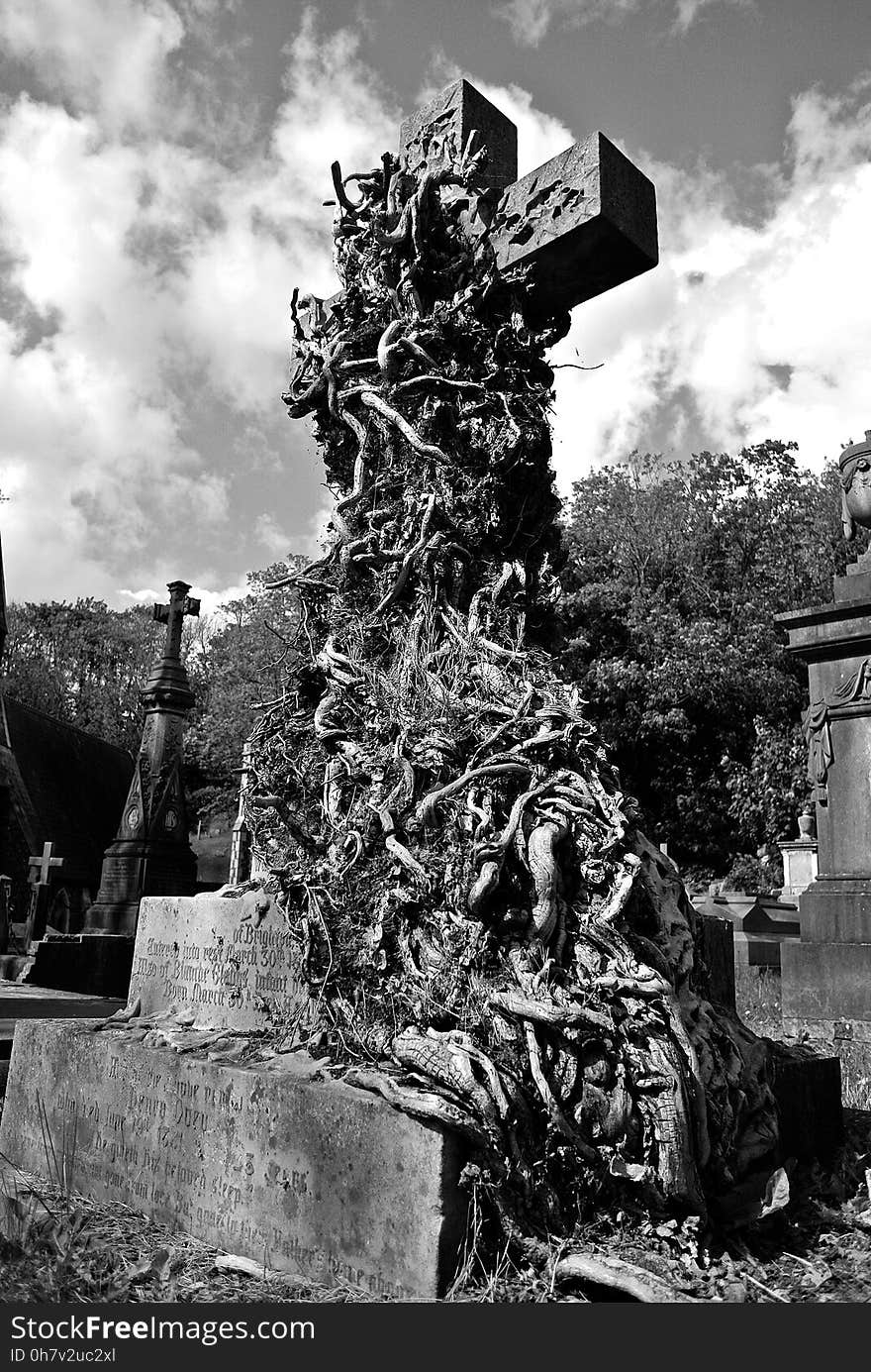 Black And White, Monochrome Photography, Tree, Monument